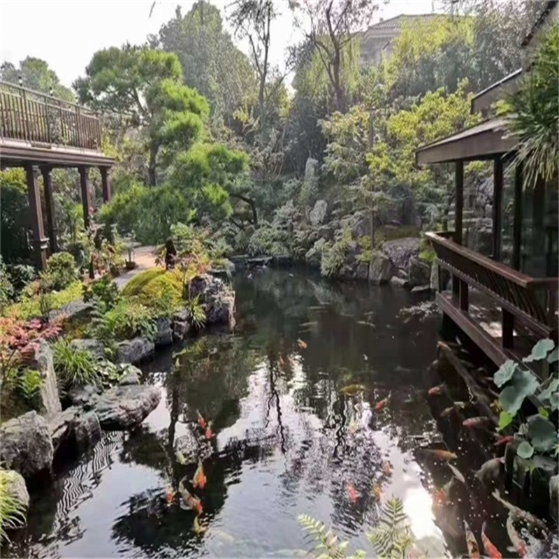 海安小庭院假山鱼池